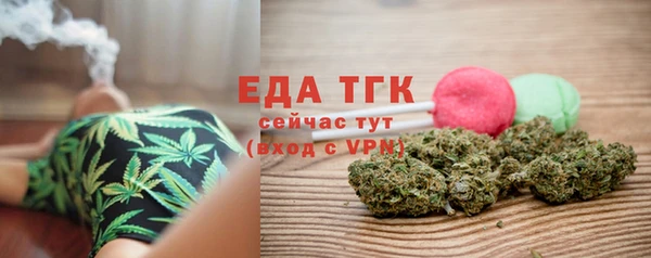 стаф Бородино