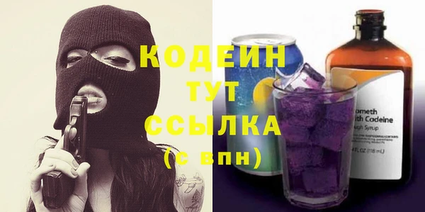 стаф Бородино