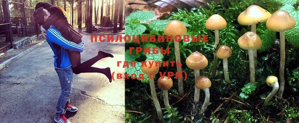 стаф Бородино