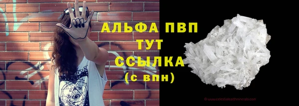 стаф Бородино