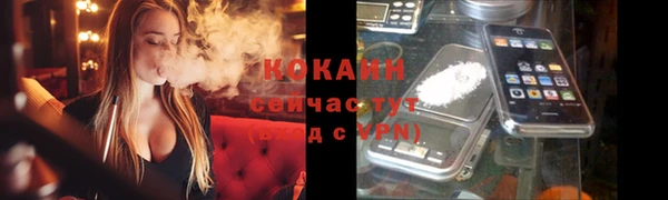 стаф Бородино