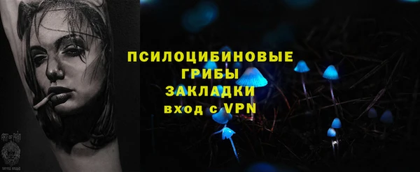 стаф Бородино