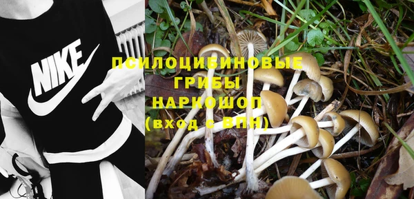 стафф Бугульма