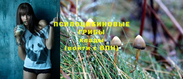 стаф Бородино