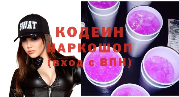 стаф Бородино